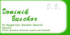 dominik buschor business card